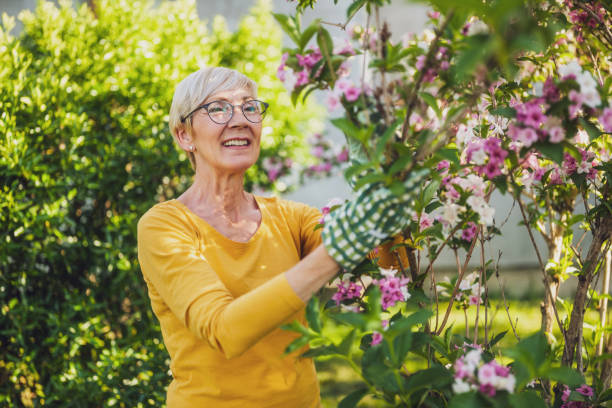 istock Senior woman gardening 2149521084