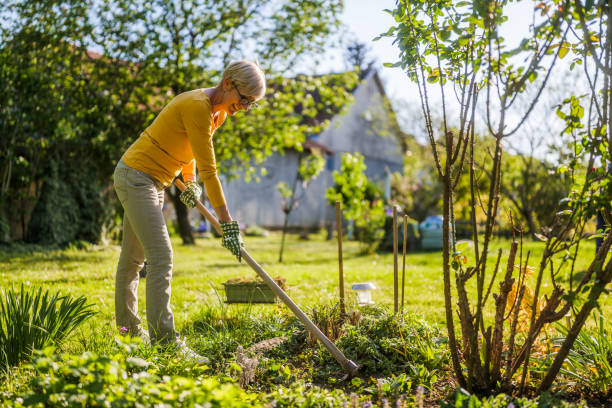 istock Senior woman gardening 2149521131