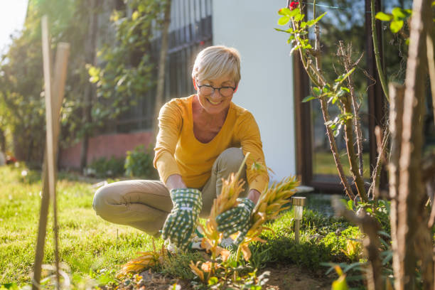 istock Senior woman gardening 2149521136
