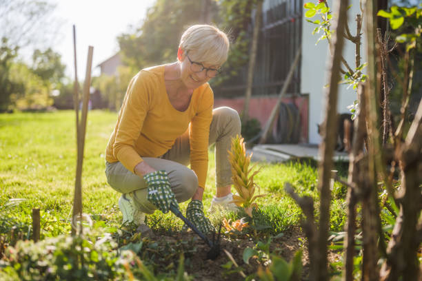 istock Senior woman gardening 2149521158