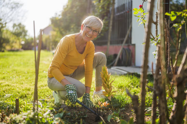 istock Senior woman gardening 2149521164