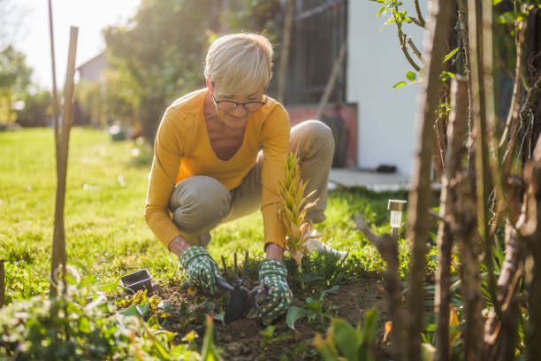 istock Senior woman gardening 2149521188
