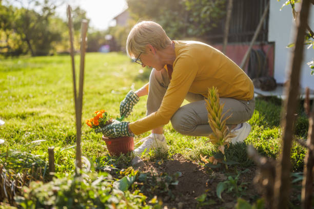istock Senior woman gardening 2149521201