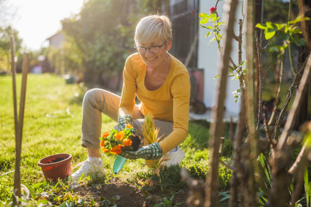istock Senior woman gardening 2149521207