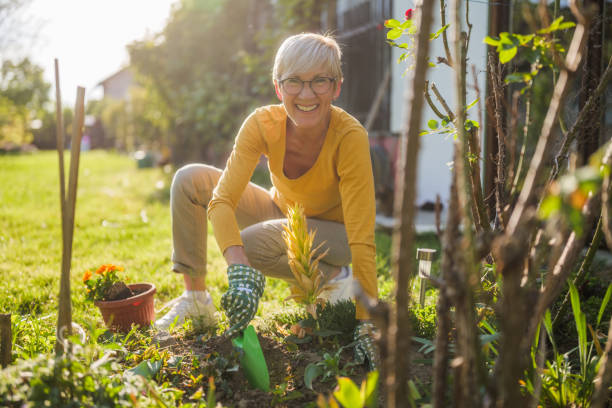 istock Senior woman gardening 2149521234