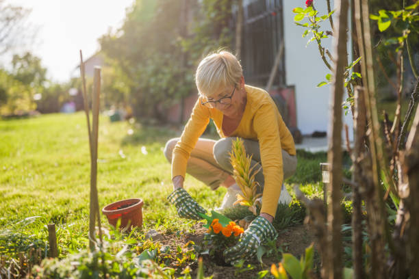 istock Senior woman gardening 2149521264