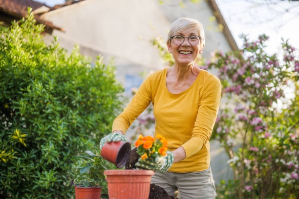 istock Senior woman gardening 2149521489