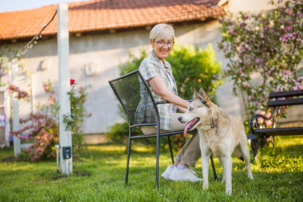 istock Senior woman spending time with her husky dog 2149521729