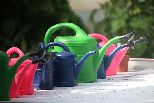 Close-up of a row of colorful watering cans of various sizes on a table in the greenhouse