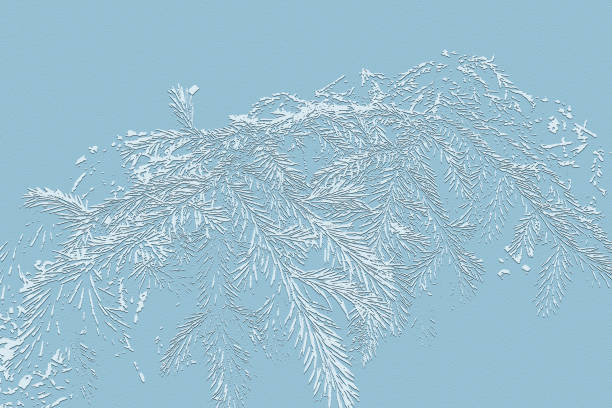 Delicate frost crystals adorning a pine branch evoke a serene and picturesque winter moment, showcasing natural beauty and tranquil seasonal charm.