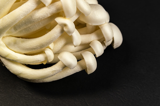 A close up of a bunch of white shimeji mushrooms. The mushrooms are all different sizes and are spread out across the image. Scene is calm and peaceful, as the mushrooms are simply sitting on a black surface