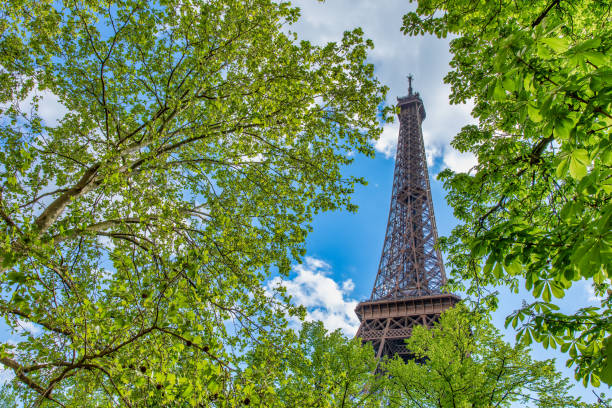 Eiffel Tower Peeking Through Spring Foliage in Paris on a Cloudy Day.