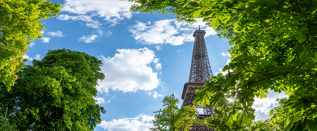 Spring brings a fresh perspective to Paris's iconic Eiffel Tower, peeking through vibrant foliage.