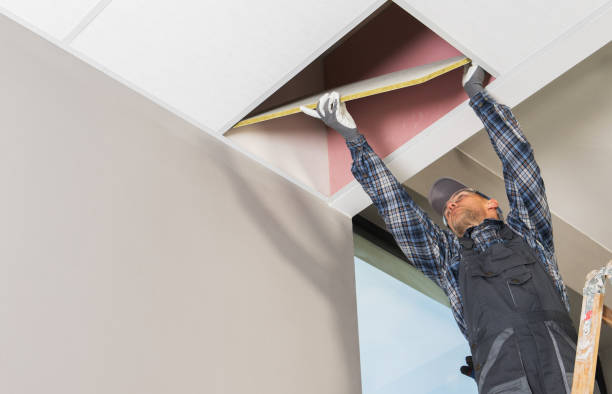 istock Suspended Ceiling Assembly by Caucasian Interior Finishing Contractor 2149530592