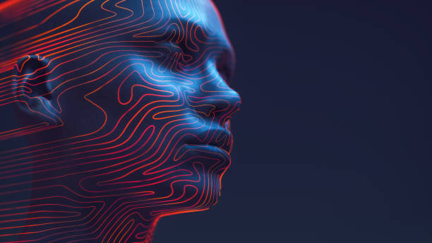 Digital Human Head Concept For AI, Metaverse And Facial Recognition Technology 3D rendered digital human head outlined with neon contour lines that resemble a fingerprint's unique swirls, against a deep blue background.
Concept of digital identity and security, blending the human element with the precision of technology. healthcare technology stock pictures, royalty-free photos & images