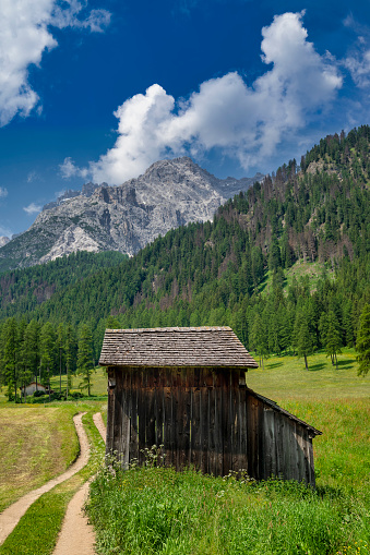 Small wooden hut next to small path leading into green meadow in front of dolomites mountains. Beautiful rural scenery in Fischleintal, Sexten, Trentino, South Tyrol, Italy.
