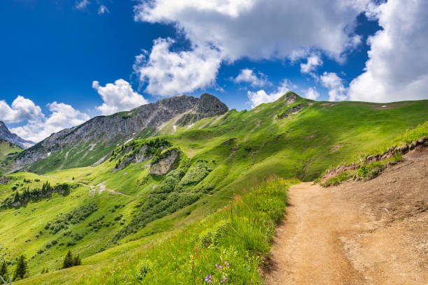 istock Hiking trail in beautiful green grass landscape 2149531123