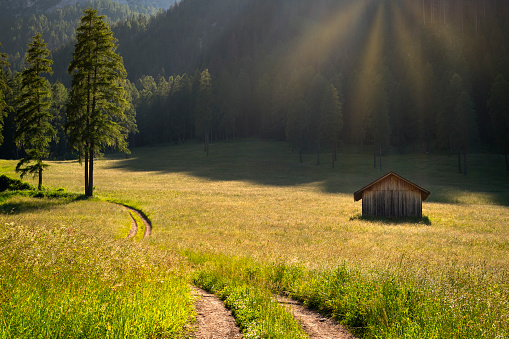 Curved path near wooden alpine hut in an autumn meadow illuminated by late afternoon sun.