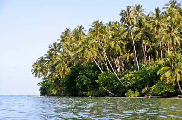 istock Tropical paradise in Indonesia 2149533072