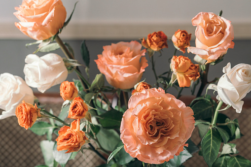 Ephemeral Elegance : A serene collection of peach and white roses that exudes a soft, ephemeral beauty, suggesting both the fleeting nature of life and the timeless grace of love.