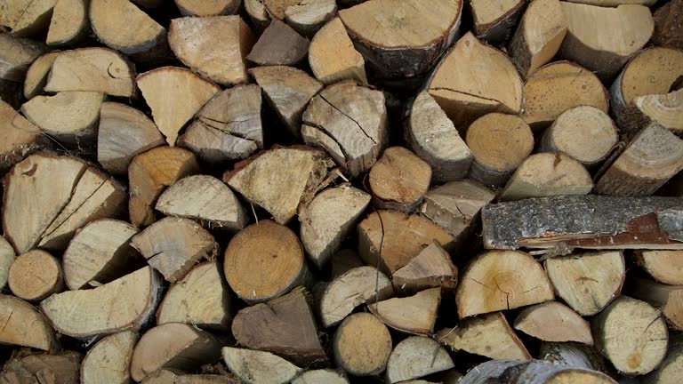 Carefully Arranged Wall of Firewood.