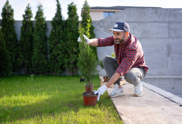 istock Mid-adult gardener Hispanic ethnicity, working at the back/front yard 2149536946