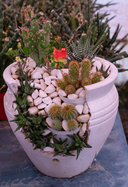 cactus and succulent production greenhouse