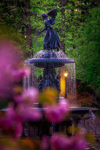 Bethesda Terrace's Fountain in Central Park with spring flowers in the foreground