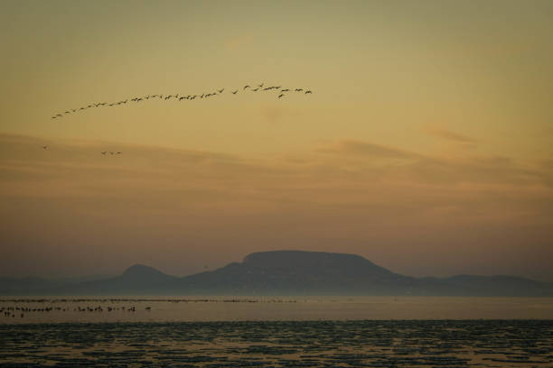istock sunset in the bay 2149539470