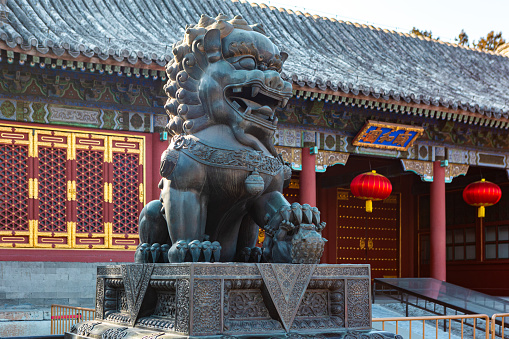 A Chinese traditional lion statue which is standing in front of temple gate. The statue is represented as powerful guardian, as culture believing.