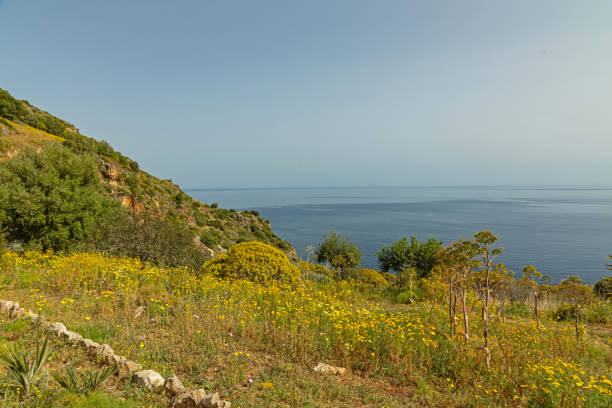 istock landscape in the Zingaro nature reserve in Sicily 2149541760