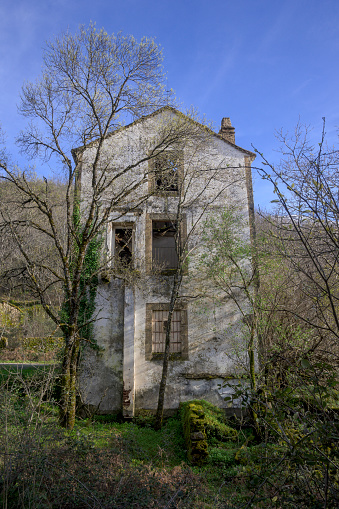 Abandoned house with several floors and half demolished in the middle of the forest vertically