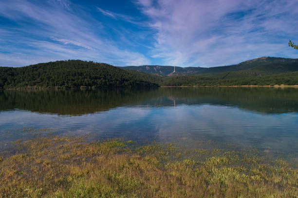 mountain landscape in spring in sunny weather