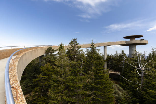 istock Clingmans Dome in North Carolina. 2149548235