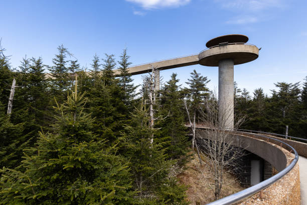 istock Clingmans Dome in North Carolina. 2149548547