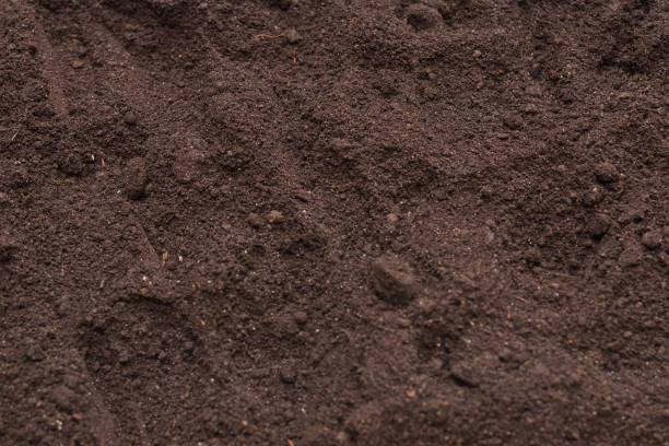 istock Black land for plant background. Top view. 2149548927