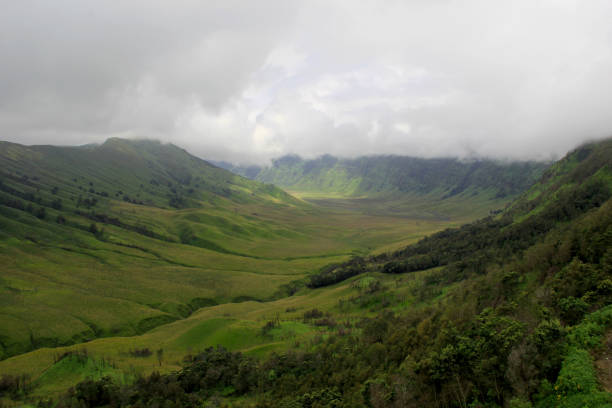 An Asian woman exploring the Mount Bromo savannah in East Java, Indonesia, Bromo National Park, set against a hill and blue sky.