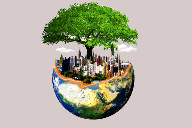 istock Ecology concept Earth planet with green tree and city on it 2149549017