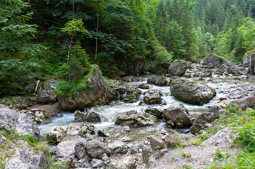 A river meandering through a verdant forest with rocky outcrops and diverse plant life, creating a picturesque fluvial landscape in the riparian zone