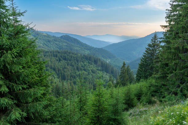 istock Lush forest with towering mountains in the background under a cloudy sky 2149550172