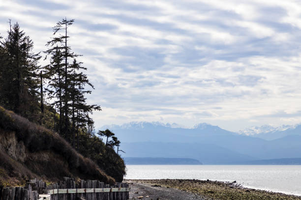 istock Rocky shore along the puget sound 2149551471