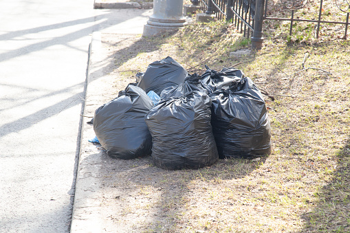 Garbage collection on the city street. Cleaning of the territory after winter.