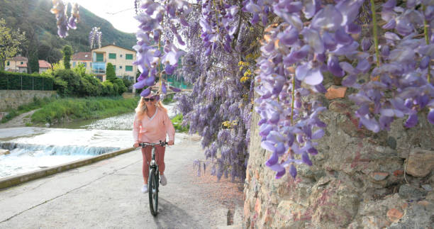 Mature woman bicycles under Wisteria blossoms along riverbank in springtime, Liguria
