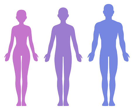 Male, female and unisex body silhouette template. Isolated vector clip art illustration.