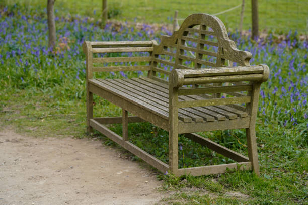istock An empty wooden bench in the park, bluebells in the background 2149558375