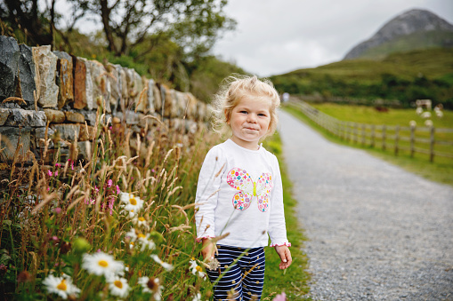 Cute little happy toddler girl running on nature path in Connemara national park in Ireland. Smiling and laughing baby child having fun spending family vacations in nature. Traveling with small kids.