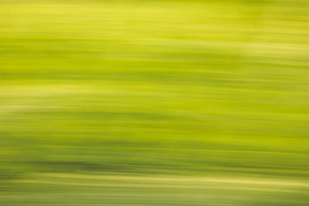 Abstract background concept, decorative lines and stripes, warm summer colors, motion blur.