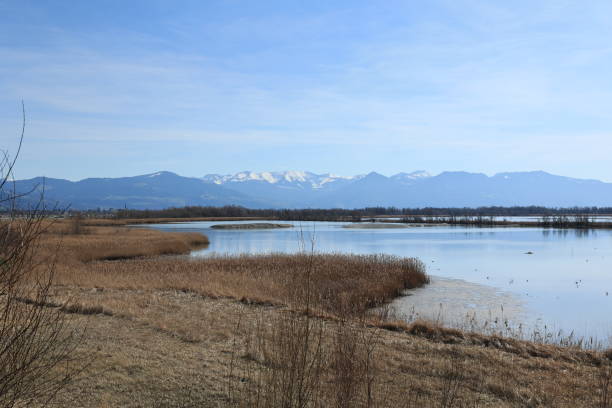 istock Beautiful spring day near Lake Constance 2149559264