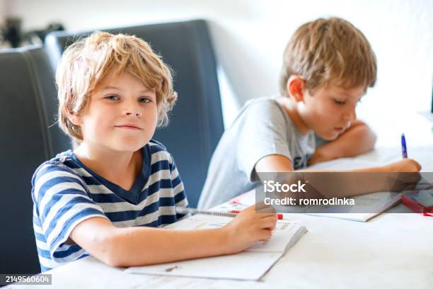 Two's Homework Two Boys Doing Homework Together Brothers Siblings And Twins Learning ...