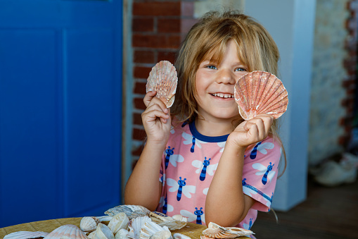 Little preschool girl with variation of different shells and clams at home. Happy child with collected shell from Normandy, France. Children, education, vacation concept